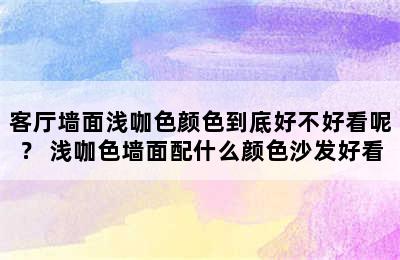 客厅墙面浅咖色颜色到底好不好看呢？ 浅咖色墙面配什么颜色沙发好看